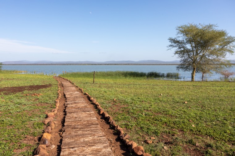 Boardwalk leading down to the lake