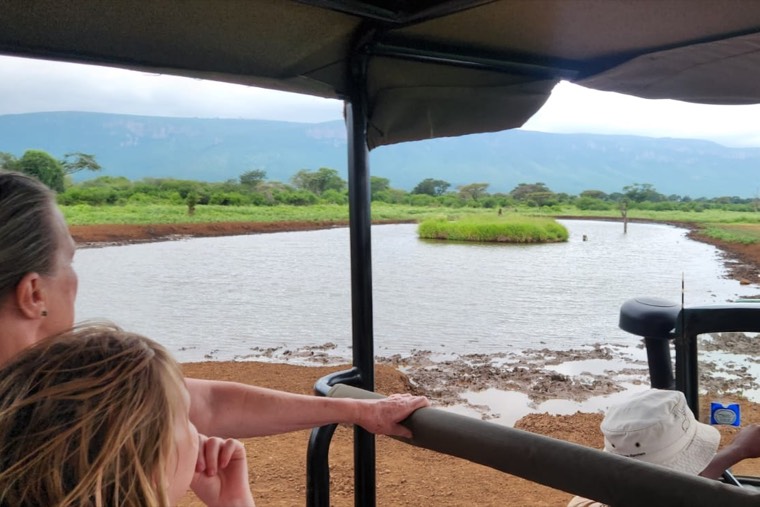 Guests watching wildlife at a waterhole from an open game vehicle